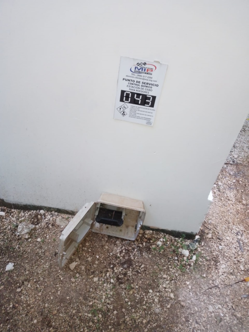 Cebos Imagen 1